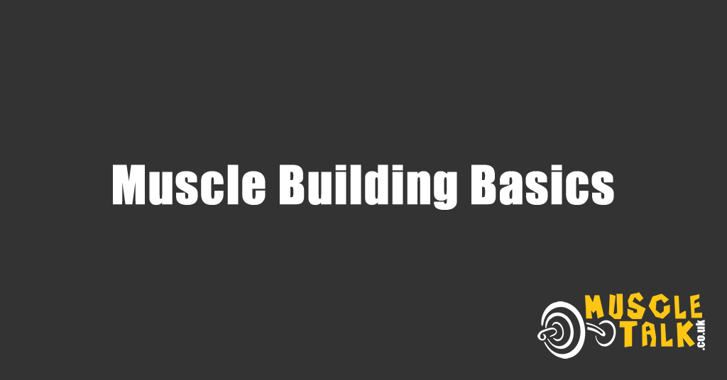 Muscle Building Basics