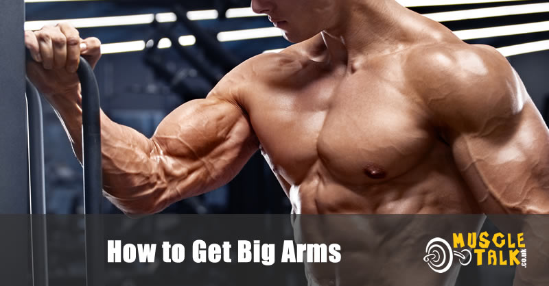Bodybuilder showing his big arms
