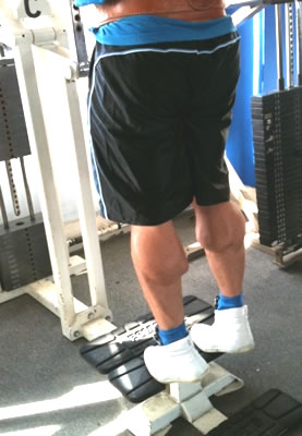 Training calves