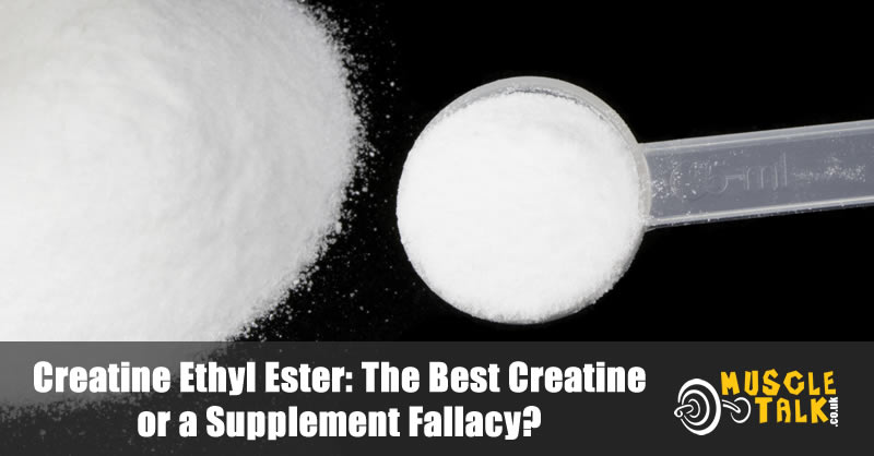 Creatine Ethyl Ester powder with scoop