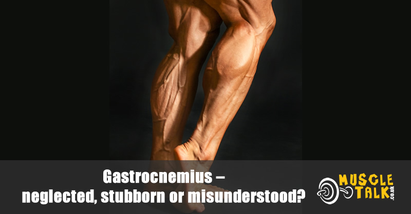 Close up of the Gastrocnemius muscle (calf)