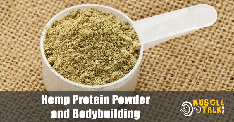Scoop of hemp protein powder