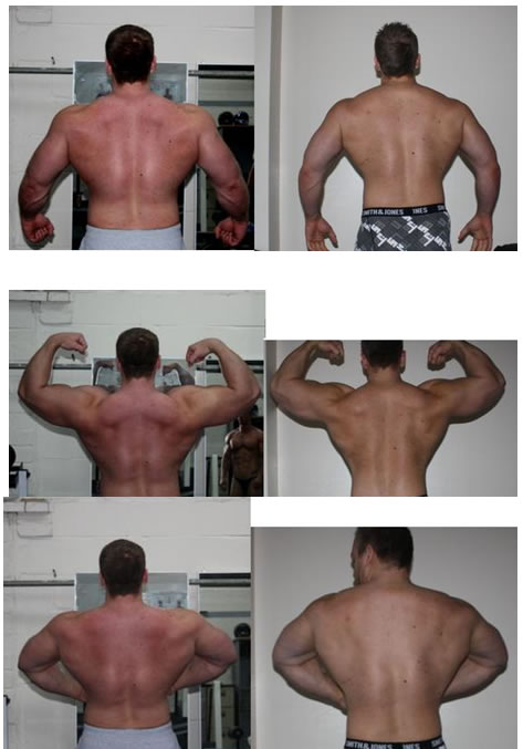 Improved middle back