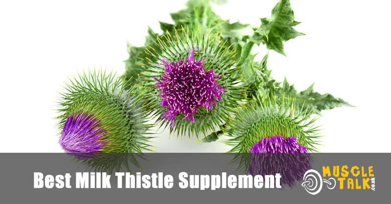 Milk Thistle plants that are used to make the supplements