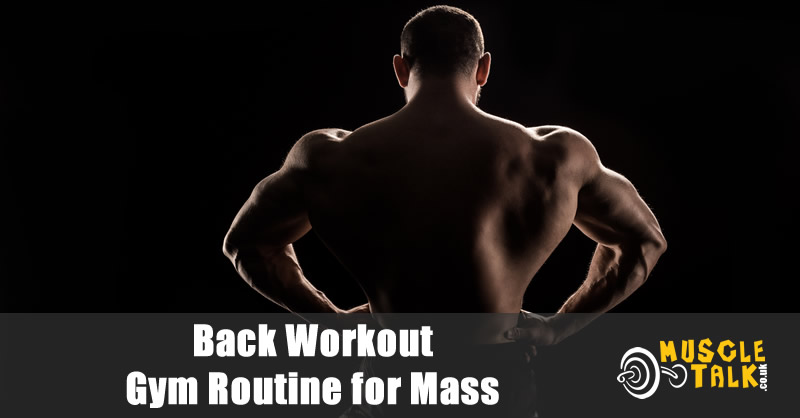 the big back of a hard training bodybuilder