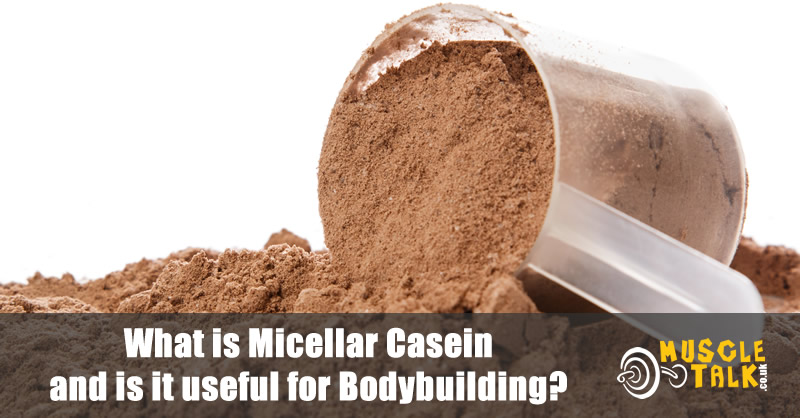 Micellar Casein protein powder with scoop